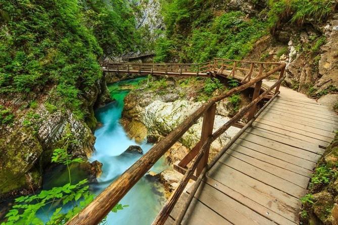 Apartma Ela Zgornje Gorje Dış mekan fotoğraf
